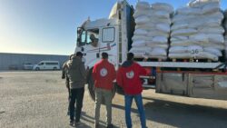 الهلال الأحمر المصري يدعم غ-زة بأكثر من 6 آلاف طن مساعدات ضمن "زاد العزة 127"