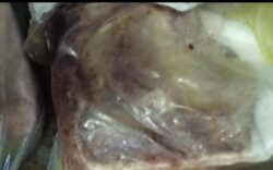 بيطري القليوبية ومباحث التموين يضبطان 14 طناً لحوم ودواجن غير صالحة للاستهلاك الآدمي بطوخ. 
بيطري القليوبية ومباحث التموين يضبطان 14 طناً لحوم ودواجن غير صالحة للاستهلاك الآدمي بطوخ.  
في إطار توجيهات معالي الوزير المهندس أيمن عطية، محافظ القليوبية، بتكثيف الرقابة على الأسواق وتنفيذ حملات مستمرة ومكثفة على أماكن بيع وتداول وحفظ اللحوم والدواجن والأسماك، حفاظاً على صحة وسلامة المواطنين، شنت مديرية الطب البيطري بالقليوبية، بالاشتراك مع الإدارة العامة لمباحث التموين، حملة تفتيشية موسعة بدائرة مركز طوخ.
وجاءت الحملة تحت إشراف الدكتور هاني شمس الدين، وكيل وزارة الطب البيطري بالقليوبية، وبمشاركة الدكتور عفيفي إبراهيم، مدير إدارة المجازر وتفتيش اللحوم بمديرية الطب البيطري، وبالتعاون مع الإدارة العامة لمباحث التموين.
وأسفرت أعمال الحملة عن ضبط لحوم وكبدة مجهولة المصدر، ودواجن ورومي غير صالحة للاستهلاك الآدمي، ولحوم مذبوحة خارج المجازر، بإجمالي وزن بلغ 14 طناً، تمثل خطورة على الصحة العامة.
وتم اتخاذ كافة الإجراءات القانونية حيال المضبوطات، والتحفظ عليها، وإحالة الوقائع إلى النيابة العامة لاتخاذ ما يلزم من قرارات.
وأكد محافظ القليوبية على استمرار وتكثيف الحملات الرقابية على الأسواق بجميع مراكز ومدن المحافظة، وعدم التهاون مع أي مخالفات تمس صحة المواطنين، مشدداً على تطبيق القانون بكل حزم حفاظاً على سلامة الغذاء المتداول بالأسواق. 

بيطري القليوبية ومباحث التموين يضبطان 14 طناً لحوم ودواجن غير صالحة للاستهلاك الآدمي بطوخ. 