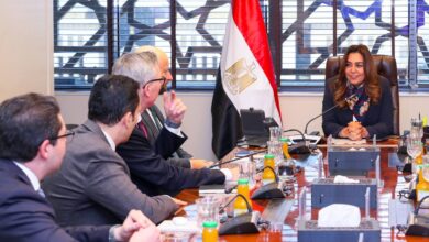 البيئة تُنهي مراجعة الأثر البيئي لمشروع رياح جبل الزيت مع حماية مسارات الطيور