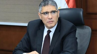 الجيزه إزالة 325 حالة خلال الموجة الـ28