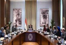 السيسي يوجه ببدء تنفيذ مدينة العاصمة الطبية للمستشفيات والمعاهد التعليمية للبحوث والتدريب