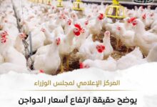حقيقة ارتفاع أسعار الدواجن نتيجة نقص المعروض منها بالأسواق 