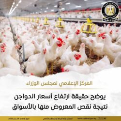 حقيقة ارتفاع أسعار الدواجن نتيجة نقص المعروض منها بالأسواق 