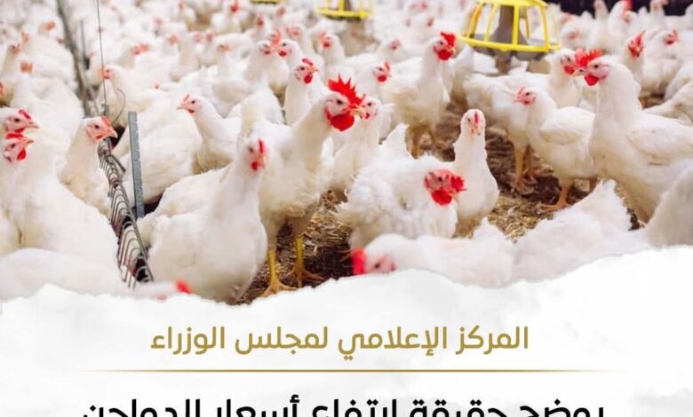 حقيقة ارتفاع أسعار الدواجن نتيجة نقص المعروض منها بالأسواق 