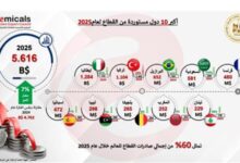 صادرات الكيماويات والأسمدة المصرية تسجل 9.43 مليار دولار بنمو 7.4% خلال عام 2025.