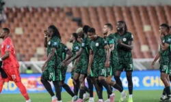 «نصف نهائي ناري».. نيجيريا تطيح بـ الجزائر وتضرب موعدًا مع المغرب بأمم إفريقيا
