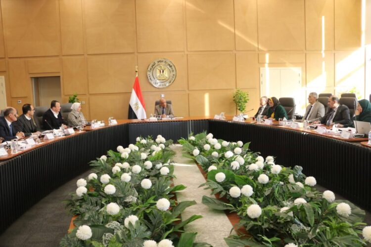 الكهرباء تتابع مشروعات المتجددة وتخزين الطاقة لتعزيز استقرار الشبكة