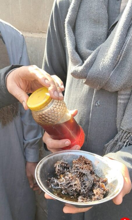 استخراج 25 كيلو عسل من داخل قبر بالمنوفية