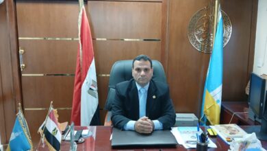 المهندس جمال عمار وكيل وزارة التموين والتجارة الداخلية،