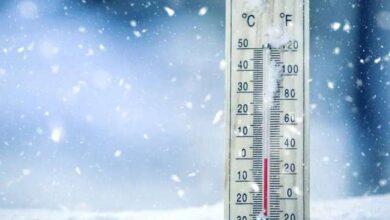 أجواء مائلة للبرودة صباحًا.. حالة الطقس غدا السبت 3 يناير 2026 ودرجات الحرارة.