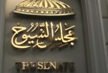 لجنة الشيوخ توصية برلمانية رسمية بحجب منصة الألعاب "روبلوكس" لحماية النشء 