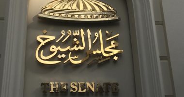 لجنة الشيوخ توصية برلمانية رسمية بحجب منصة الألعاب "روبلوكس" لحماية النشء 