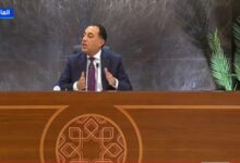 رئيس الوزراء يرد على مزاعم تصفية الشركات