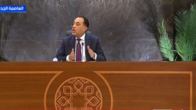 رئيس الوزراء يرد على مزاعم تصفية الشركات