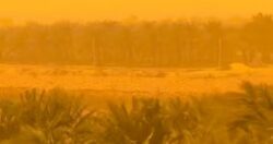 الأرصاد تحذر من عواصف ترابية ورياح "أمشير" الشديدة 