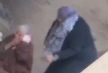 حبس المتهمة بضرب والدتها المسنة بالشرقية 4 أيام على ذمة التحقيقات