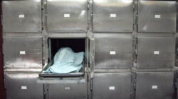 جريمة تهز المنيب.. مراهق ينهي حياة طفلة داخل منزلها