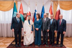 عبد العاطي يشارك في اجتماع اللجنة الوزارية العربية الإسلامية بشأن غزة بسلوفينيا