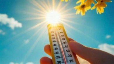 توقعات حالة الطقس غدا الأثنين 9/2/2026 في مصر.. أجواء حارة وأتربة.