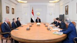 السيسي يبحث مع رئيس GCL الصينية توطين صناعة الطاقة المتجددة في مصر