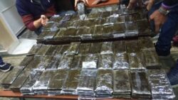 إحالة 7 أوكرانيين ومصري للجنايات بتهمة التعاون مع كبار مهربي المخدرات