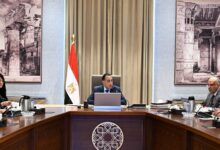 رئيس الوزراء يتابع الموقف التنفيذي الحالي لمشروعات حماية الشواطئ.