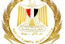 الدكتور علاء ناجي أكد توافر الدواجن المجمدة حاليًا بكميات كبيرة