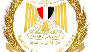 الدكتور علاء ناجي أكد توافر الدواجن المجمدة حاليًا بكميات كبيرة