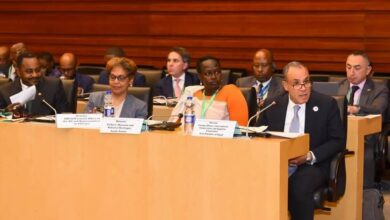 وزير الخارجية يجدد التزام مصر بدعم استرداد التراث الإفريقي خلال حلقة نقاشية لليونسكو.