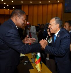 وزير الخارجية يلتقي رئيس جمهورية أفريقيا الوسطى ورئيس وزراء الكاميرون على هامش القمة الأفريقية