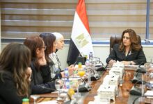 نقل الخبرات المصرية في المبادرة الرئاسية" حياة كريمة " للدول الأفريقية. 