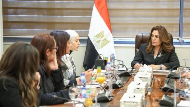 نقل الخبرات المصرية في المبادرة الرئاسية" حياة كريمة " للدول الأفريقية. 