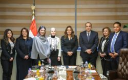 نقل الخبرات المصرية في المبادرة الرئاسية" حياة كريمة " للدول الأفريقية. 