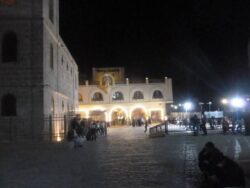 وزيرة التنمية تتابع نتائج المرور الميداني لقطاعات الوزارة على مسار العائلة المقدسة.