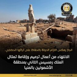المنيا: البعثة الأثرية تنتهي من ترميم وإقامة تمثال الملك رمسيس الثاني