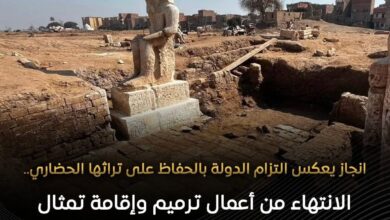 المنيا: البعثة الأثرية تنتهي من ترميم وإقامة تمثال الملك رمسيس الثاني