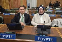 براءات مصرية بثقة دولية متجددة