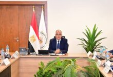 لجنة تنظيم إيراد النيل تتابع الموقف المائي وتؤكد جاهزية المنظومة للصيف.