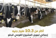  الزراعة: تواصل دعم المشروع القومي للبتلو