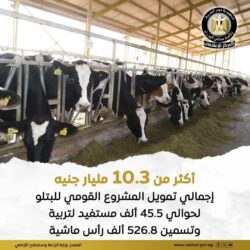  الزراعة: تواصل دعم المشروع القومي للبتلو