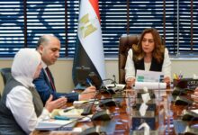 التنمية المحلية: تُشدد الخناق على الأكياس البلاستيكية أحادية الإستخدام