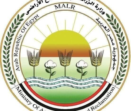 الزراعة: تحصين 12,665 كلبًا حرًا وتعقيم 1,593 منذ يناير 2026