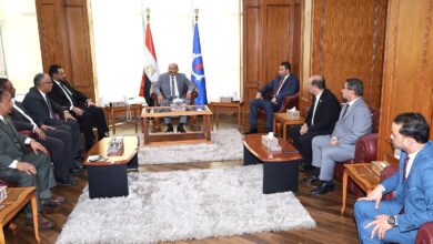 أعضاء مجلسي النواب والشيوخ يقدمون التهنئة لمحافظ السويس