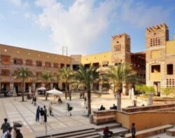 بدر عبد العاطي وهالة السعيد يبحثان تعزيز التعاون مع الجامعة الأمريكية بالقاهرة