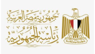 تحرك مصري عاجل لاحتواء التصعيد الإقليمي عبر 9 اتصالات دولية