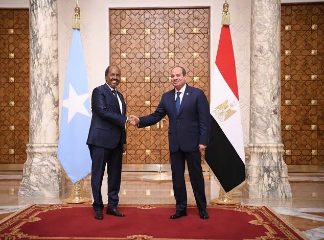 الرئيس السيسي إستقبل  اليوم رئيس جمهورية الصومال الشقيقة