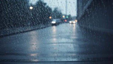 فصل الشتاء سينتهي فلكياً في 20 مارس