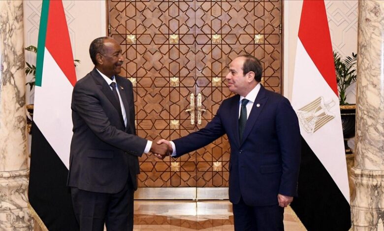 الرئيس السيسي إستقبل اليوم الدكتور كامل إدريس رئيس مجلس وزراء جمهورية السودان