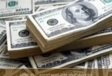 الدولار يقفز في ختام تعاملات اليوم الأحد