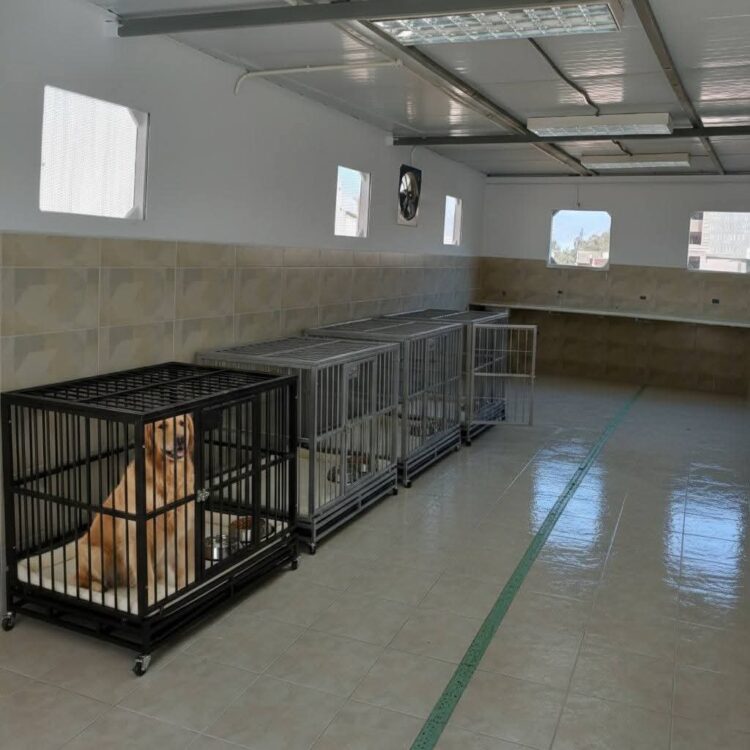 افتتاح العيادات البيطرية بجامعة الإسكندرية لتقديم خدمات طبية بيطرية متكاملة